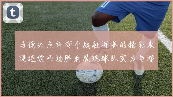 马德兴点评海牛战胜海港的精彩表现连续两场胜利展现球队实力与潜力